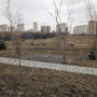 pxl_20240314_073945452.jpg