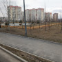 pxl_20240314_074051013.jpg