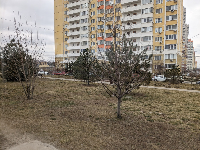 pxl_20240314_074412397.jpg