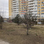 pxl_20240314_074412397.jpg