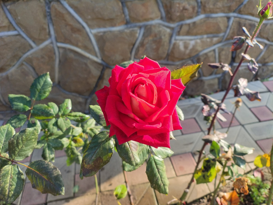 img_20251128_133647_578.jpg